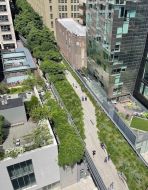 Architektursommer 2023 - Highline New York